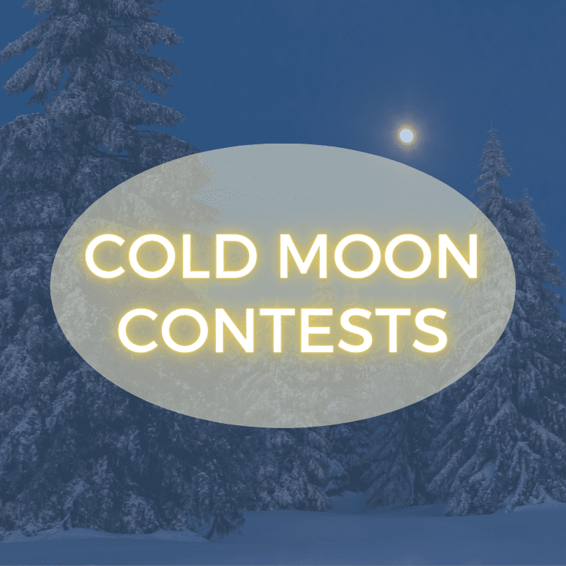 Cold Moon Contests Web image