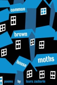 Common Brown House Moths Cover