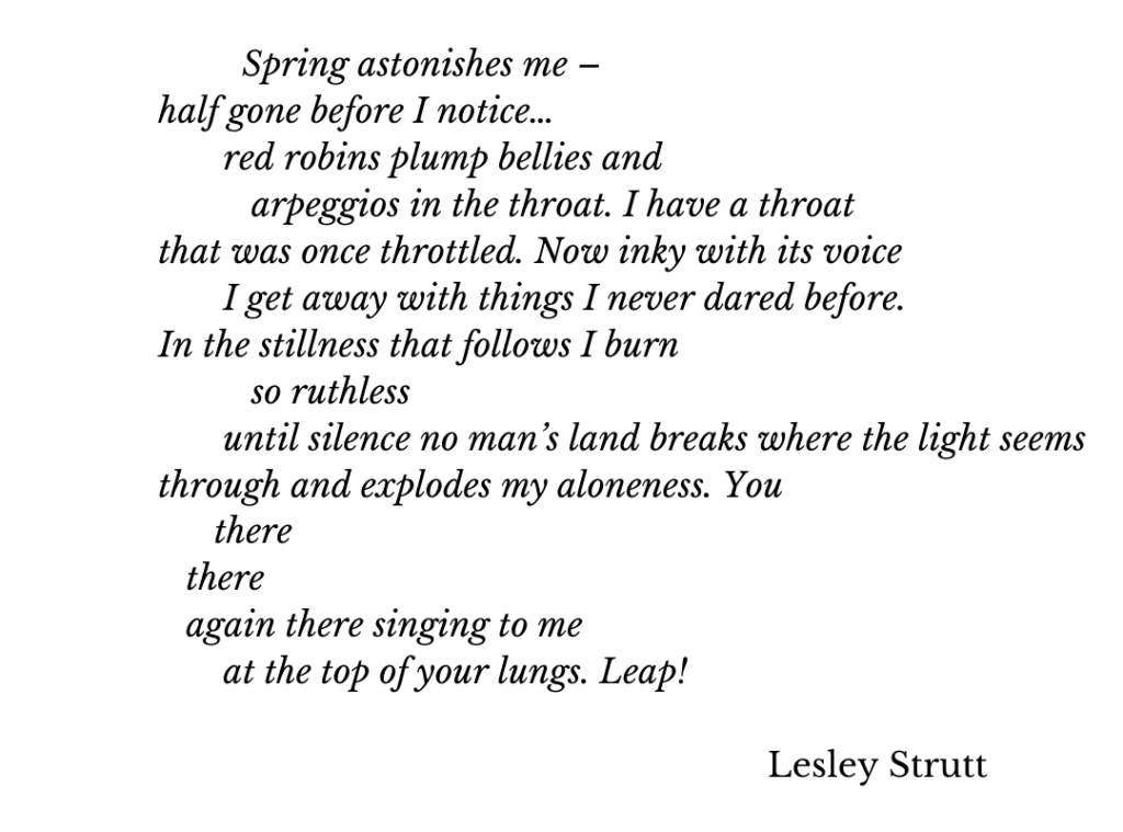  Spring astonishes me _ half gone before I notice… red robins plump bellies and arpeggios in the throat. I have a throat that was once throttled. Now inky with its voice I get away with things I never dared before. In the stillness that follows I burn so ruthless until silence no man’s land breaks where the light seems through and explodes my aloneness. You there there again there singing to me at the top of your lungs. Leap! Lesley Strutt