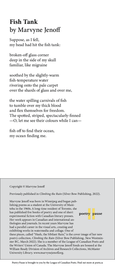 Poem name: Fish Tank Poet name: Marvyne Jenoff Poem:  Suppose, as I fell, my head had hit the fish tank:  broken-off glass corner deep in the side of my skull familiar, like migraine  soothed by the slightly-warm fish-temperature water rivering onto the pale carpet over the shards of glass and over me,  the water spilling carnivals of fish to tumble over my thick blood and flex themselves for freedom. The spotted, striped, spectacularly-finned —O, let me see their colours while I can—  fish off to find their ocean, my ocean finding me. End of poem.  Credits and bio: Copyright © Marvyne Jenoff  Previously published in Climbing the Rain (Silver Bow Publishing, 2022). Marvyne Jenoff was born in Winnipeg and began publishing poems as a student at the University of Manitoba in the 1960s. A long-time resident of Toronto, she has published five books of poetry and one of short experimental fiction with Canadian literary presses. Her work appears in Canadian and international anthologies and journals. In recent years Marvyne has had a parallel career in the visual arts, creating and exhibiting works in watermedia and collage. One of these pieces, called “Hush, the Sibilant Rain,” is the cover image of her new poetry collection, Climbing the Rain (Silver Bow Publishing, New Westminster BC, March 2022). She is a member of the League of Canadian Poets and the Writers’ Union of Canada. The Marvyne Jenoff fonds are housed at the William Ready Division of Archives and Research Collections, McMaster University Library. www.marvynejenoff.org.