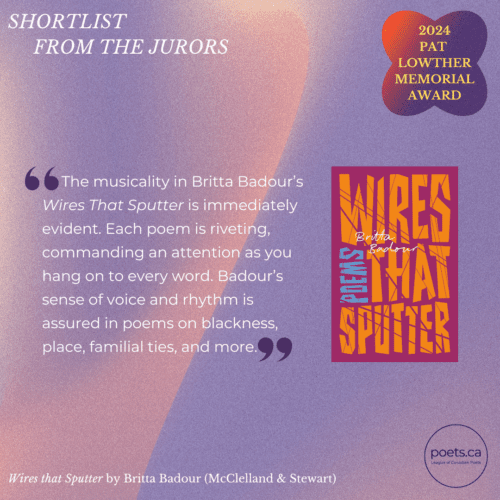 The musicality in Britta Badour’s Wires That Sputter is immediately evident. Each poem is riveting, commanding an attention as you hang on to every word. Badour’s sense of voice and rhythm is assured in poems on blackness, place, familial ties, and more.