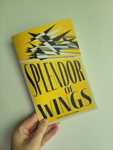 Splendor of Wings cover