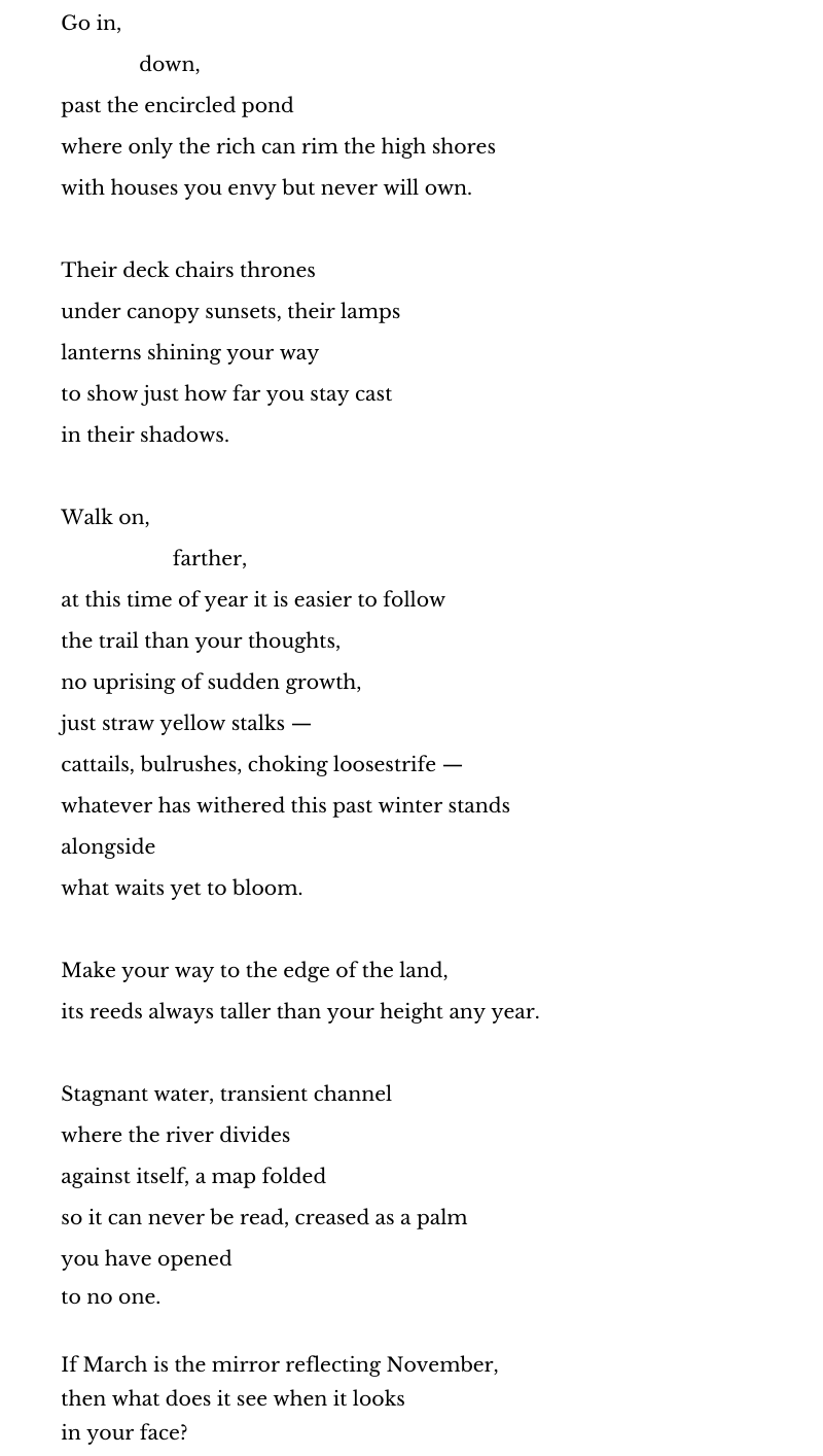 Go in,  
              down,  
past the encircled pond  
where only the rich can rim the high shores  
with houses you envy but never will own. 
 
Their deck chairs thrones  
under canopy sunsets, their lamps  
lanterns shining your way  
to show just how far you stay cast  
in their shadows.  
 
Walk on,  
                    farther,  
at this time of year it is easier to follow  
the trail than your thoughts,  
no uprising of sudden growth,  
just straw yellow stalks —  
cattails, bulrushes, choking loosestrife —  
whatever has withered this past winter stands  
alongside  
what waits yet to bloom.  
 
Make your way to the edge of the land,  
its reeds always taller than your height any year.  
 
Stagnant water, transient channel  
where the river divides  
against itself, a map folded  
so it can never be read, creased as a palm  
you have opened  
to no one.  

If March is the mirror reflecting November, 
then what does it see when it looks 
in your face? 
