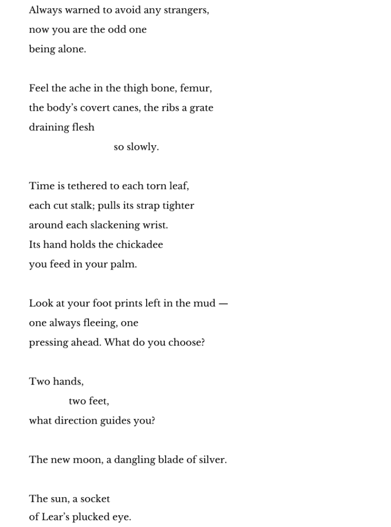 Always warned to avoid any strangers, 
now you are the odd one 
being alone. 

Feel the ache in the thigh bone, femur,  
the body’s covert canes, the ribs a grate  
draining flesh  
                                so slowly.  
 
Time is tethered to each torn leaf,  
each cut stalk; pulls its strap tighter  
around each slackening wrist.  
Its hand holds the chickadee  
you feed in your palm.  
 
Look at your foot prints left in the mud —  
one always fleeing, one  
pressing ahead. What do you choose?  
 
Two hands,  
               two feet,  
what direction guides you?  
 
The new moon, a dangling blade of silver.  
 
The sun, a socket  
of Lear’s plucked eye. 