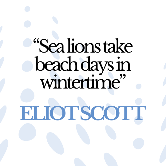 Eliot Scott