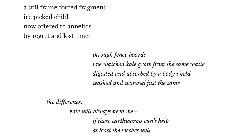 a still frame forced fragment
ice picked child
now offered to annelids
by regret and lost time:
through fence boards
i’ve watched kale grow from the same waste
digested and absorbed by a body i held
washed and watered just the same
the difference:
kale will always need me–
if these earthworms can’t help
at least the leeches will