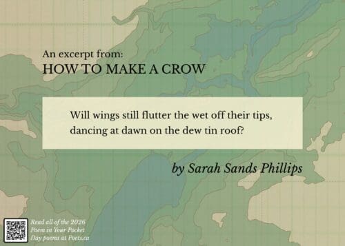 Excerpt from How to Make a Crow by Sarah Sands Phillips Will wings still flutter the wet off their tips, dancing at dawn on the dew tin roof?