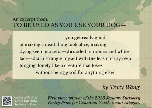 Excerpt from TO BE USED AS YOU USE YOUR DOG— by Tracy Wang you get really good at making a dead thing look alice, making dying seem graceful—shrouded in rbbons and white lace—shall i strangle myself with the leash of my own longing, lonely like a creature that loves without being good for anything else?
