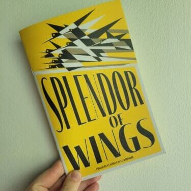Splendor of Wings cover